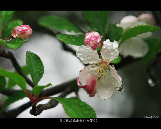 431044 (a): :1280x1024